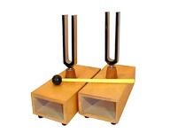 Камертоны на резонансных ящиках (пара) - fgospostavki.ru - Белово