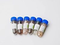 Набор № 6 ОС Щелочные и щелочноземельные металлы - fgospostavki.ru - Белово