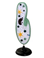 Модель инфузории-туфельки - fgospostavki.ru - Белово