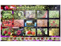 Комплект оборудования "Живой уголок" (растения) с тифлопереводом и сурдокомментариями - fgospostavki.ru - Белово