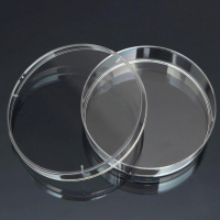 Чашка Петри стеклянная с крышкой 100х20 - fgospostavki.ru - Белово