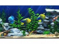 Интерактивный аттракционный комплекс "Водный мир" - fgospostavki.ru - Белово