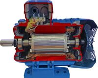 Учебная модель «Электродвигатель асинхронный в разрезе» - fgospostavki.ru - Белово