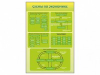 Стенды "Схемы по экономике" - fgospostavki.ru - Белово