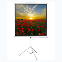 Экран на штативе DSKD-1105  - fgospostavki.ru - Белово