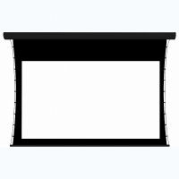 Экран настенный с электроприводом DSTPX-16916 - fgospostavki.ru - Белово