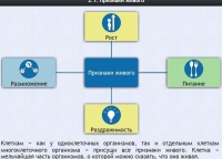 Интерактивные курсы. Биология 5 класс. Базовый - fgospostavki.ru - Белово