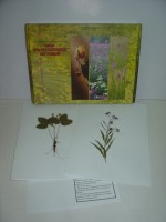 Гербарий "Лекарственные растения" (20 видов) - fgospostavki.ru - Белово