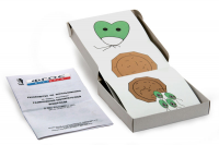 Модель-аппликация "Размножение одноклеточной водоросли" (набор из 11 карт) - fgospostavki.ru - Белово