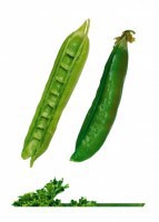 Комплект карточек "Запоминай, играй, считай" -  Овощи - fgospostavki.ru - Белово