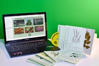 Гербарий натурально-интерактивный "Лекарственные растения" - fgospostavki.ru - Белово