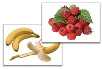 Дидактическое пособие "Фрукты, ягоды, орехи" (24 карточки) - fgospostavki.ru - Белово