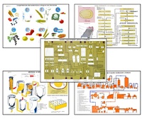 Плакаты ПРОФТЕХ "Сырье и материалы хлебопекарного производства" (20 пл, винил, 70х100) - fgospostavki.ru - Белово