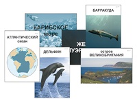 Модель-аппликация "Океаны. Знакомство" (ламинированная) - fgospostavki.ru - Белово