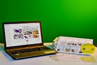 Коллекция натурально-интерактивная "Кварц в природе" - fgospostavki.ru - Белово