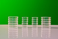 Набор чашек Петри - fgospostavki.ru - Белово