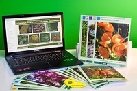 Гербарий натурально-интерактивный "Основные группы растений. Грибы. Лишайники" - fgospostavki.ru - Белово