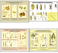 Плакаты ПРОФТЕХ "Вредители и болезни с/х культур и меры борьбы с ними" (11 пл, винил, 70х100) - fgospostavki.ru - Белово