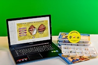 Коллекция натурально-интерактивная "Раковины моллюсков" - fgospostavki.ru - Белово