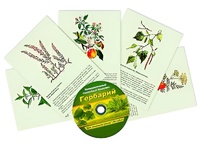 Интерактивный наглядный комплекс "Гербарий "Для начальной школы" - fgospostavki.ru - Белово