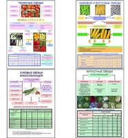 Плакаты ПРОФТЕХ "Классификация овощей" (11 пл, винил, 70х100) - fgospostavki.ru - Белово