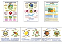 Плакаты ПРОФТЕХ "Плоды" (6 пл, винил, 70х100) - fgospostavki.ru - Белово