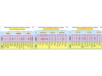 Плакаты ПРОФТЕХ "Ассортимент продовольственных товаров" (3 пл, винил, 70х100) - fgospostavki.ru - Белово