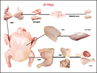 Таблица "Правила разделки мясных туш. Курица" (100х140 сантиметров, винил) - fgospostavki.ru - Белово