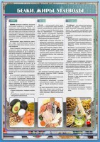 Стенд "Белки. Жиры. Углеводы" - fgospostavki.ru - Белово