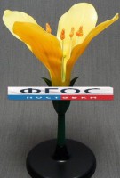 Модель "Цветок капусты" - fgospostavki.ru - Белово