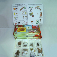 Коллекция "Семена и плоды с раздаточным материалом" - fgospostavki.ru - Белово