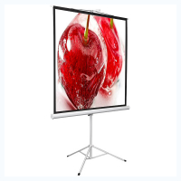 Экран на штативе DSKD-1106 - fgospostavki.ru - Белово