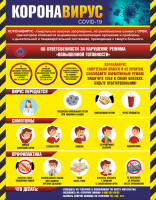 Плакат "Коронавирус" (вариант 1) - fgospostavki.ru - Белово