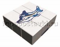 Куб "Дельфин" - fgospostavki.ru - Белово