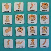 Набор карточек "Части тела" - fgospostavki.ru - Белово