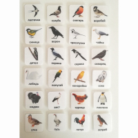 Набор карточек "ПТИЦЫ" - fgospostavki.ru - Белово