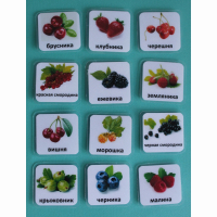 Набор карточек "Ягоды" - fgospostavki.ru - Белово