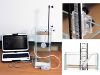 Набор демонстрационный «Гидростатика и плавание тел» - fgospostavki.ru - Белово