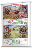 Плакаты по географии России для оформления кабинета. - fgospostavki.ru - Белово