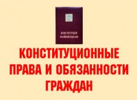 Комплект плакатов "Конституционные права и обязанности граждан" - fgospostavki.ru - Белово