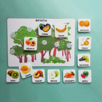 Пособие "Овощи и фрукты" - fgospostavki.ru - Белово