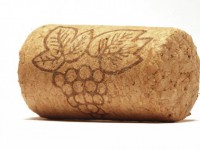 Роторасширитель Пробка - fgospostavki.ru - Белово