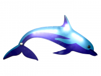Прибор интерактивный световой «Дельфин» - fgospostavki.ru - Белово