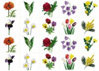 Комплект карточек "Запоминай, играй, считай" - Цветы - fgospostavki.ru - Белово