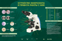 Электрифицированный стенд "Устройство микроскопа и правила работы c ним" - fgospostavki.ru - Белово