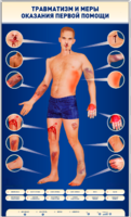 Электрифицированный стенд-тренажер "Травматизм и меры оказания первой помощи" - fgospostavki.ru - Белово