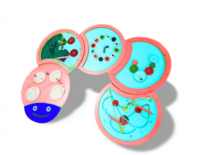 Тактильно-развивающая панель «Гусеница» - fgospostavki.ru - Белово