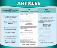 Стенд "Артикли" - fgospostavki.ru - Белово