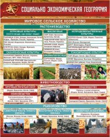 Стенд "Социально-экономическая география. Сельское хозяйство" - fgospostavki.ru - Белово