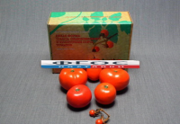 Набор муляжей "Дикая форма и культурные сорта томатов" - fgospostavki.ru - Белово